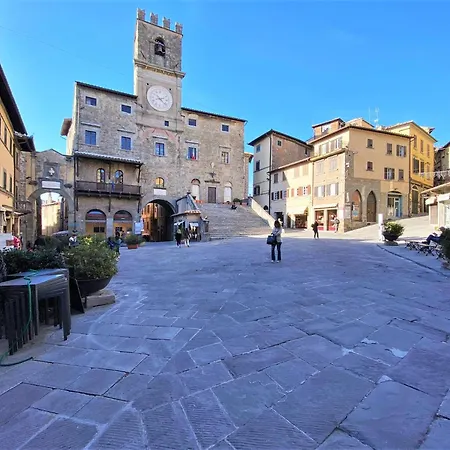 فيلة In With Pool